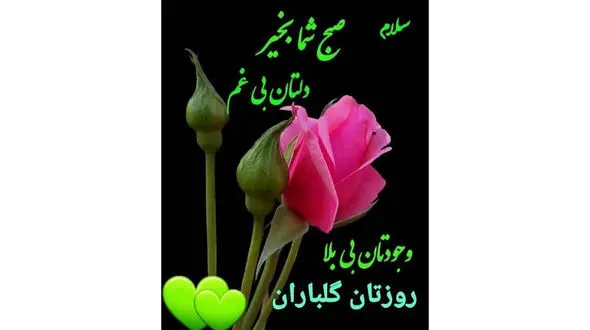 فال روزانه شخصی/ 22 خرداد ماه + فیلم