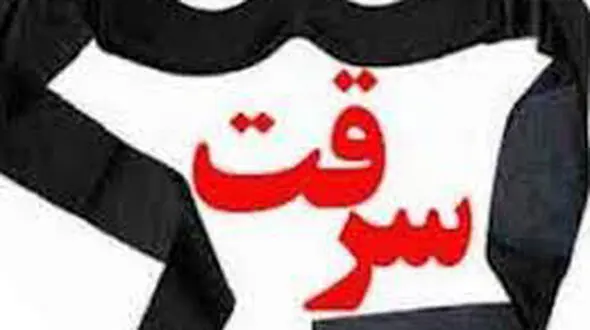  دزد ناشی چهره خود را لو داد! / بدشانسی سارق تازه کار را ببینید + فیلم