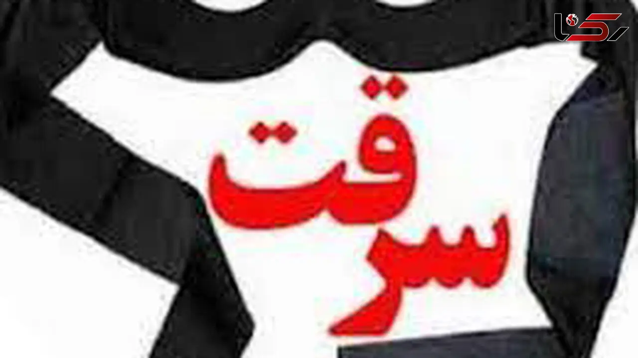  دزد ناشی چهره خود را لو داد! / بدشانسی سارق تازه کار را ببینید + فیلم