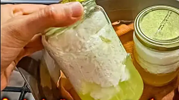 پنیر در شیشه چطور درست کنیم؟ / فیلم