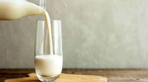 راز شیرهای آلوده خطرناک در مینودشت فاش شد / این مرد با جان مردم بازی می کرد