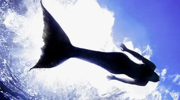 پیدا شدن جسد پری دریایی در ساحل / همه شوکه شدند!