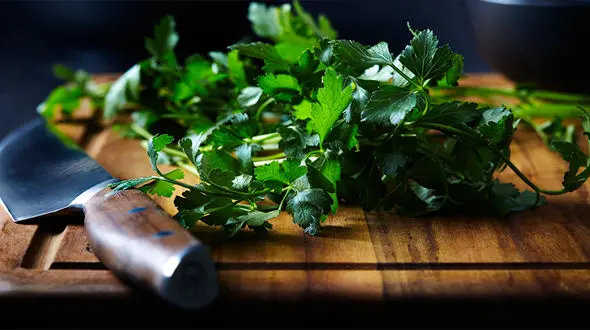 مبارزه با بوی بد دهان با این سبزی معطر