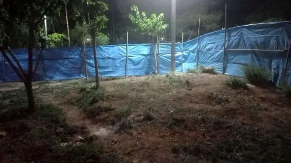 واکنش عضو شورای شهر به قطع درختان پارک ستارخان: وقت جا به جایی درختان نیست/
منتقدان قصد سیاسی کردن ماجرا دارند/ شهرداری سال گذشته 4هزار هکتار درخت کاشت