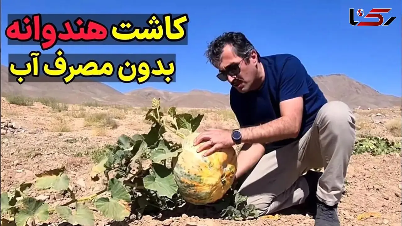 فیلم کشاورزهای خراسان جنوبی به این شکل هنداونه را بدون مصرف آب کشت و برداشت می کنند!