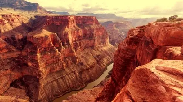 اکتشاف بزرگ زمین‌ شناسی: حقیقت باورنکردنی پس از 500 میلیون سال!