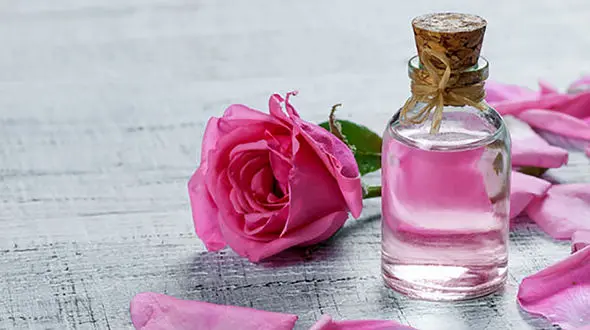 خصوصیات گلاب اصل چیست؟ / فیلم