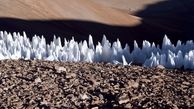 دانشمندان معمای بخش یخ زده پلوتون را کشف کردند
