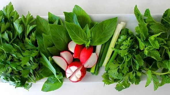 این سبزی حشرات خانگی را فراری می دهد