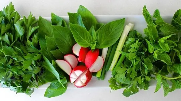 این سبزی حشرات خانگی را فراری می دهد