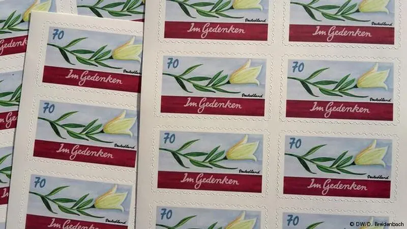 8663478_526