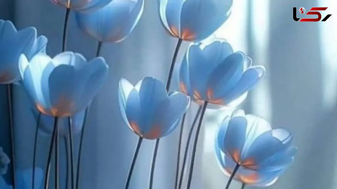 چند کلمه برای آنهایی که امروز تولدشان است + فیلم