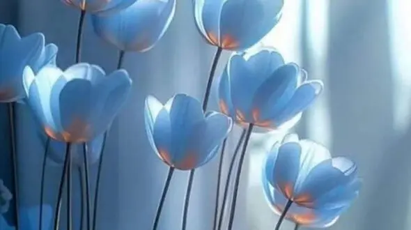 چند کلمه برای آنهایی که امروز تولدشان است + فیلم