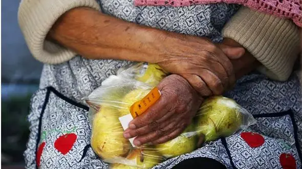 مشخصه اقتصاد فاسد طبقه متوسط کوچک است /مرگ نوزادان سه برابر بیشتر و نرخ باسوادی 25 درصد کمتر می شود