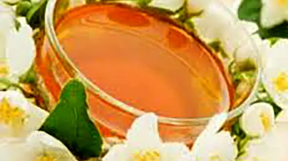 بدخواب ها بهارنارنج را فراومش نکنند!