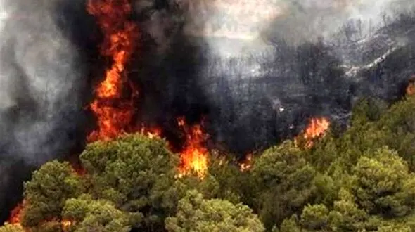 فیلم آتش‌ سوزی گسترده در جنگل‌های گچساران