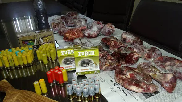 کشف گوشت قوچ شکاری از منزل شکارچی متخلف در تفرش