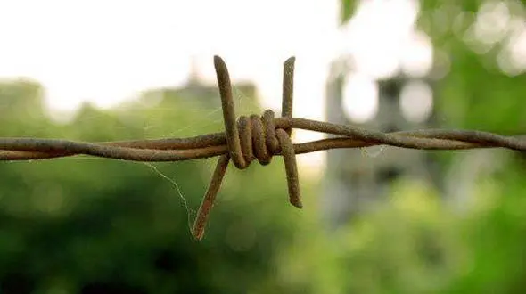 مقاله تحلیلی دکتر صبری حقوق دان در باره "حصر خانگی"