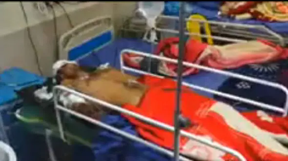 پلنگ وحشی پسر گرگانی را تیکه پاره کرد+فیلم