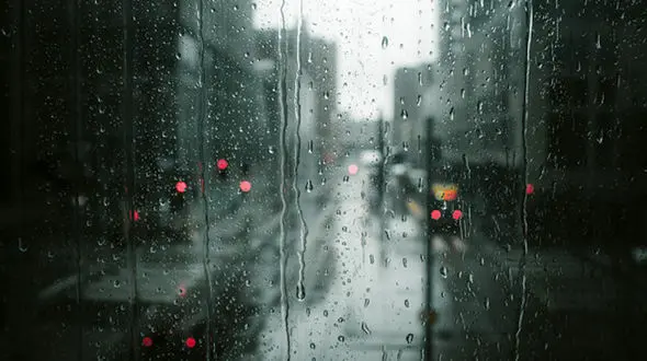 نماهنگ آرامش بخش با نوازندگی "ریچ بتسفورد" با صدای دلنشین باران + فیلم