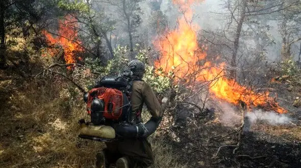 کمبود تجهیزات اطفای حریق در این استان / ۱۰۰ هکتار جنگل و مرتع به دلیل عدم برنامه ریزی، در آتش سوختند