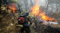 وسعت آتش سوزی در مناطق حفاظت شده از 5 هزار هکتار به 2 هزارهکتار کاهش یافت