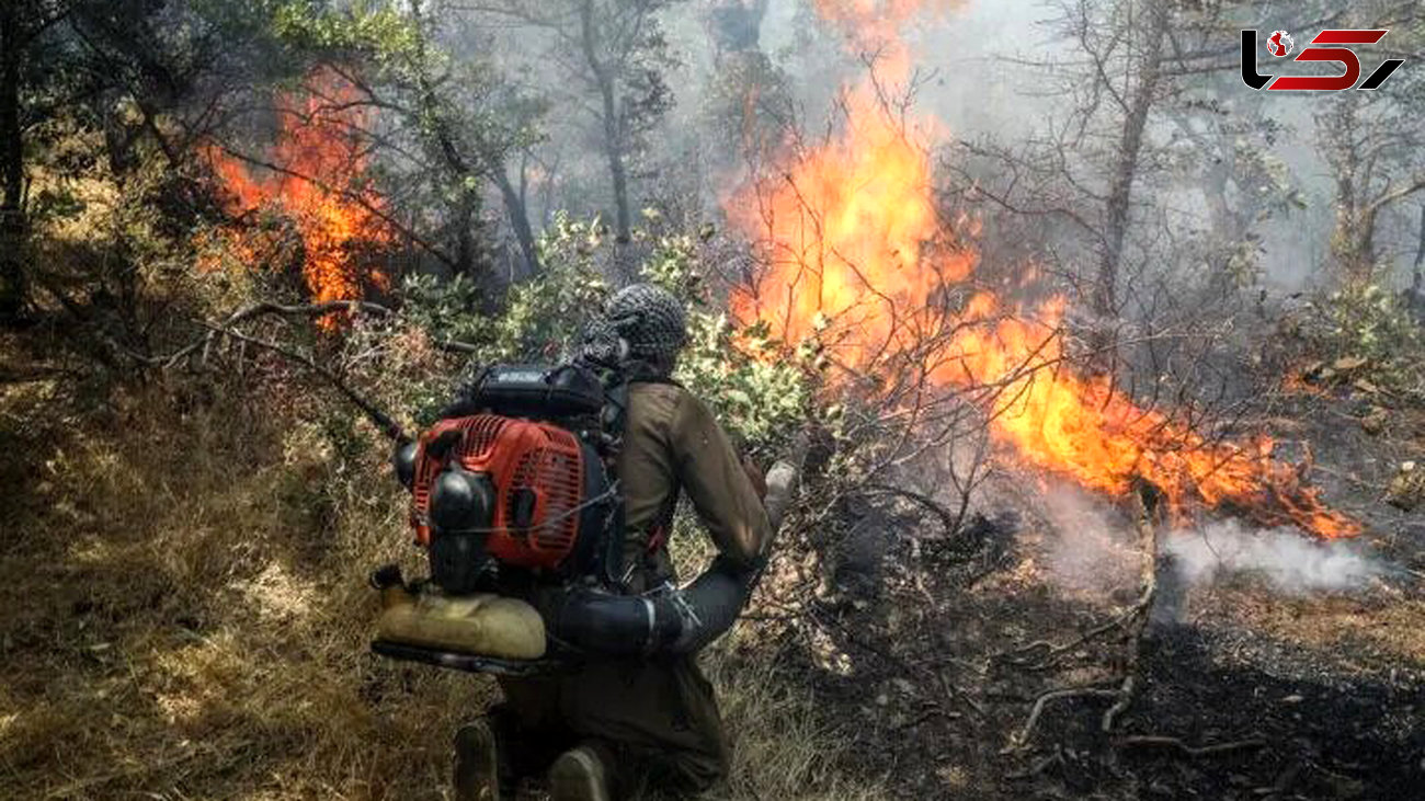 کمبود تجهیزات اطفای حریق در این استان / ۱۰۰ هکتار جنگل و مرتع به دلیل عدم برنامه ریزی، در آتش سوختند