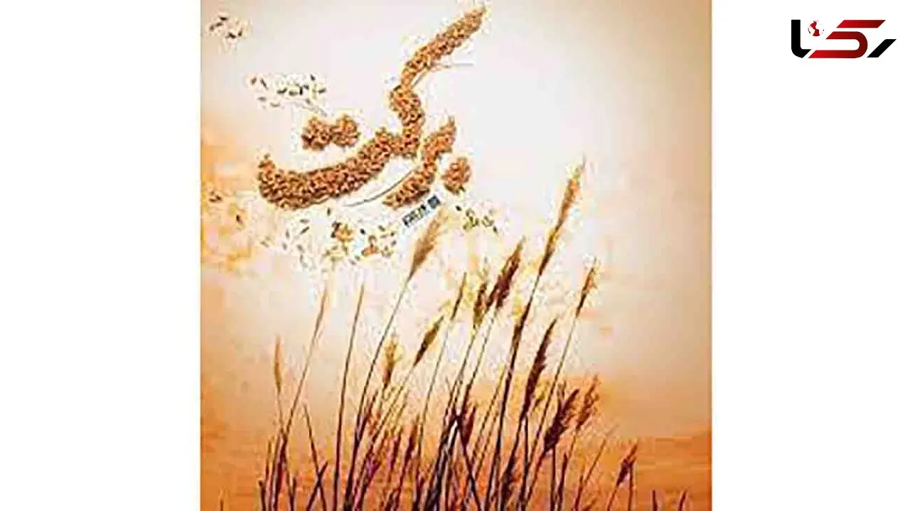 2 راه افزایش برکت در خانه