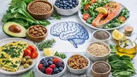 برای سلامت مغز چه بخوریم؟ ۶ خوراکی که بهتر است جای بیشتری در سفره داشته باشند