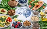 برای سلامت مغز چه بخوریم؟ ۶ خوراکی که بهتر است جای بیشتری در سفره داشته باشند