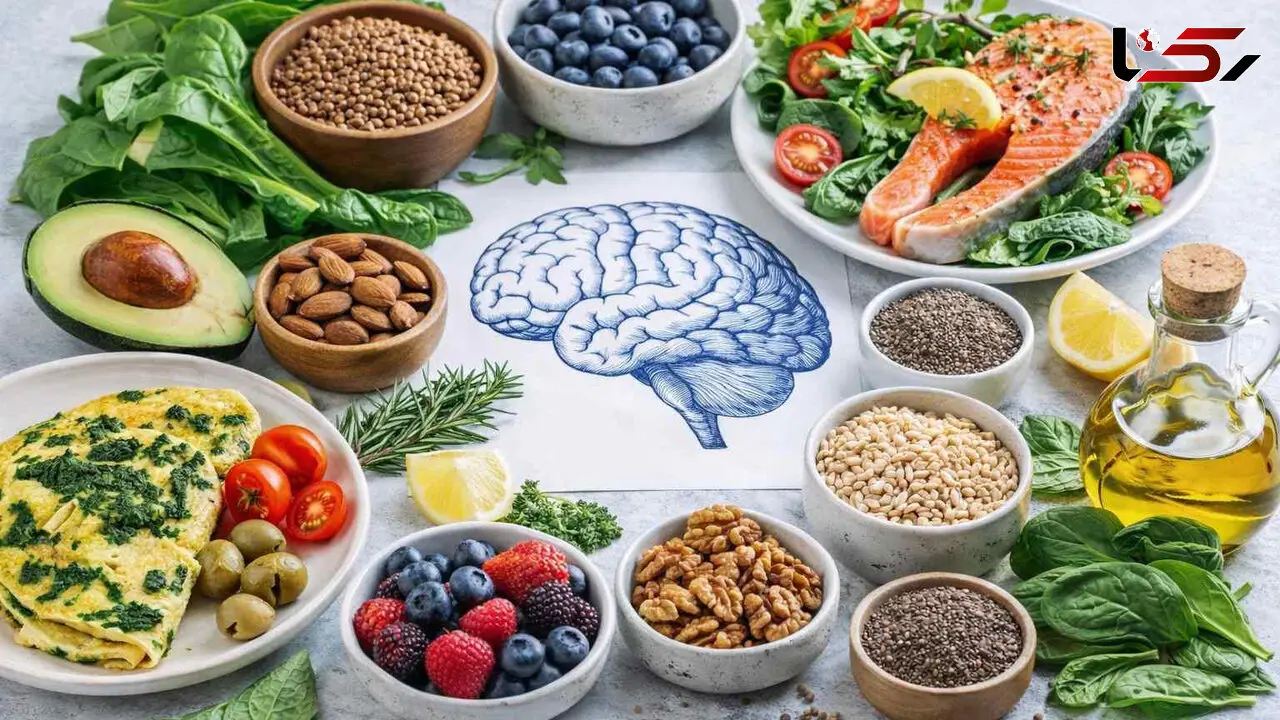 برای سلامت مغز چه بخوریم؟ ۶ خوراکی که بهتر است جای بیشتری در سفره داشته باشند
