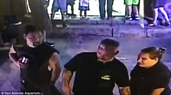 سه مرد یک کوسه را با کالسکه بچه دزدیدند+عکس