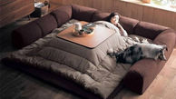 مدل خاص تخت خواب های راحت ژاپنی+ عکس 