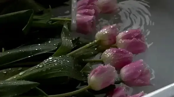 ایمان داشته باش که می‌توانی هر کاری انجام بدهی