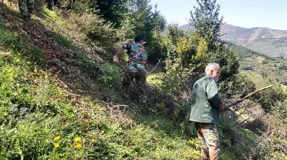 افزایش تغییر کاربری اراضی جنگلی در کهگیلویه‌و‌بویراحمد /هر کیسه بلوط سوخته ۳۰۰ هزار تومان