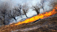 مهار آتش سوزی در مراتع و جنگل های کریک