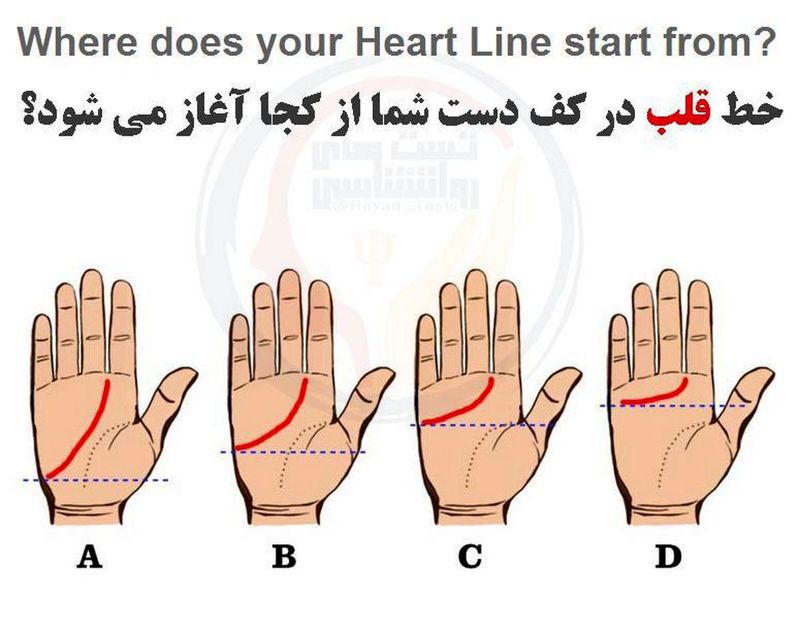 تست شخصیت شناسی