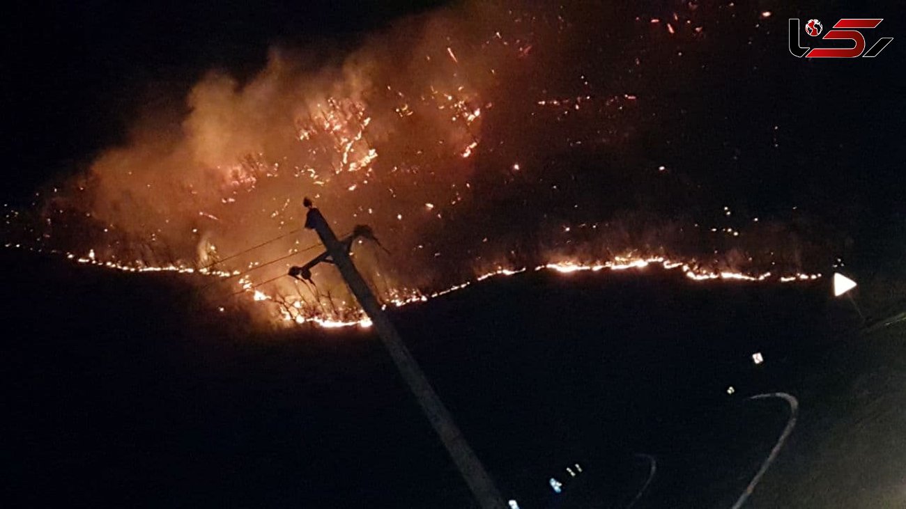آتش سوزی مهیب در جنگل های حیران + فیلم و عکس