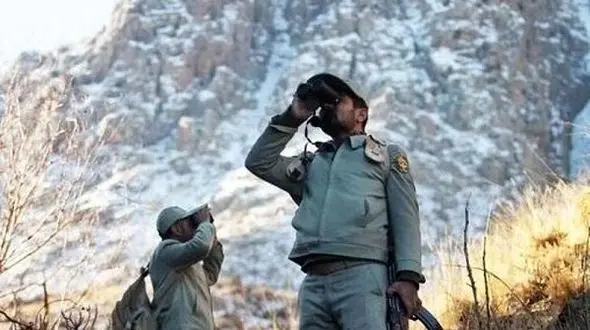 استان هرمزگان فقط دو محیط بان دارد / حضور غیر مسئولانه گردشگران در جزیره شیدور تهدید جدی برای لاک پشت‌ها