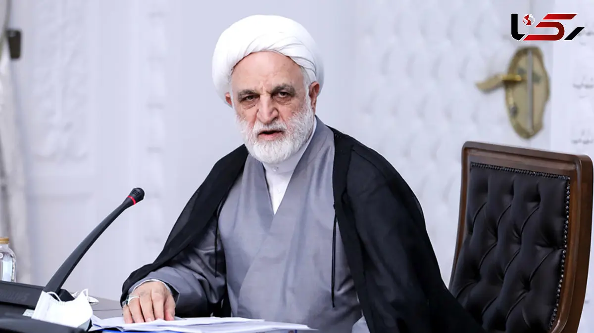 تأکید اژهای بر ورود فوری سازمان بازرسی به موضوع نهادههای دامی/ دامداران در تأمین خوراک دام با مشکل جدی مواجهاند