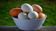 چطور بفهمیم تخم مرغ فاسد شده است؟