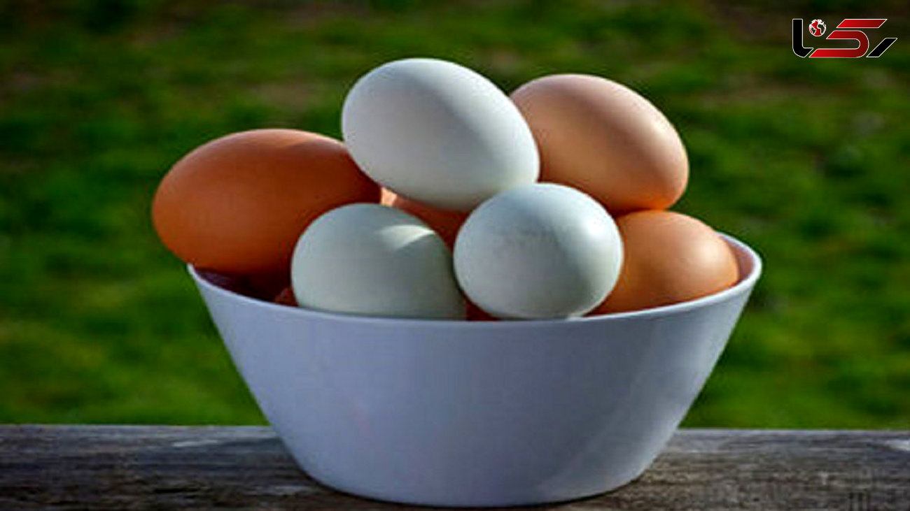 توزیع اینترنتی تخم مرغ در سراسر ایران + جزئیات