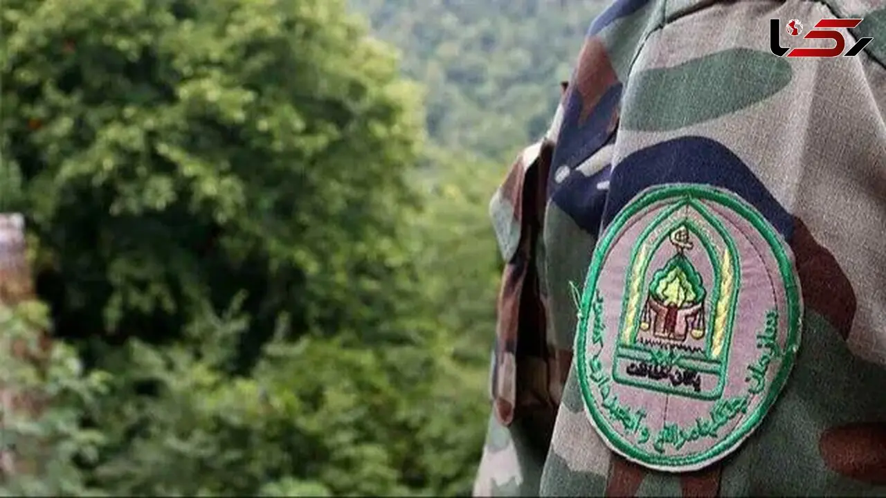 حمله وحشیانه به ماموران منابع طبیعی آستارا / یک نفر دستگیر شد