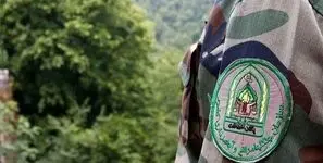 حمله وحشیانه به ماموران منابع طبیعی آستارا / یک نفر دستگیر شد