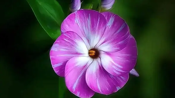 فال روزانه شخصی / 15 شهریور ماه + فیلم