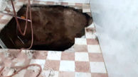 ضجه های سگ بی پناه از چاه عمیق / آتش نشانان تهرانی دست به کار شدند