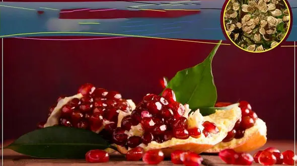 معده تان را با انار پاکسازی کنید