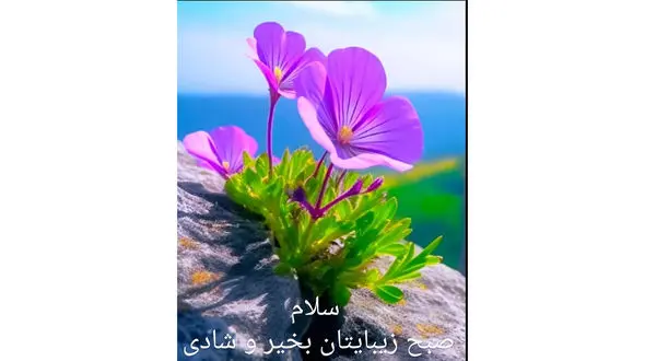 فال ابجد امروز / 30 خرداد + فیلم