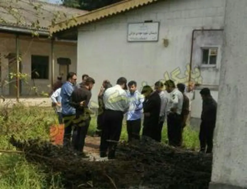 محل کشف جسد زن بی گناه