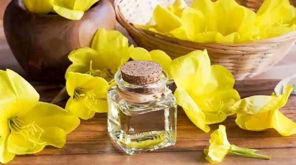 خواص گل مغربی چیست؟